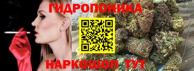 a pvp Краснокаменск