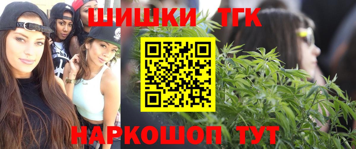 Бошки Шишки план Королёв